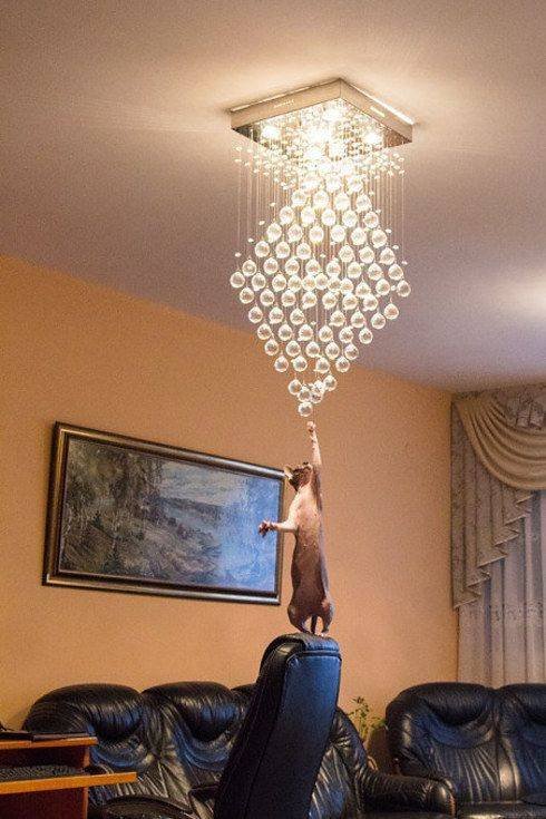 Acid Picdump 1 (96 pics)