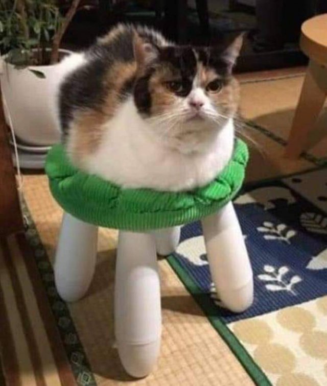 Acid Picdump 1 (96 pics)