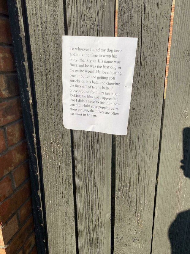 Curious Messages From The Past (30 pics)
