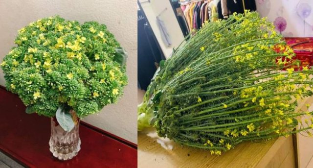 Awesome Things (20 pics)