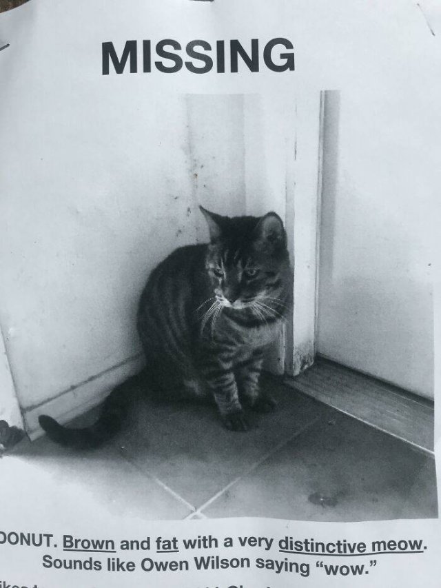 Curious Messages From The Past (30 pics)