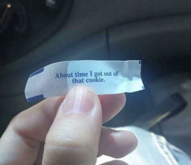 Curious Messages From The Past (30 pics)