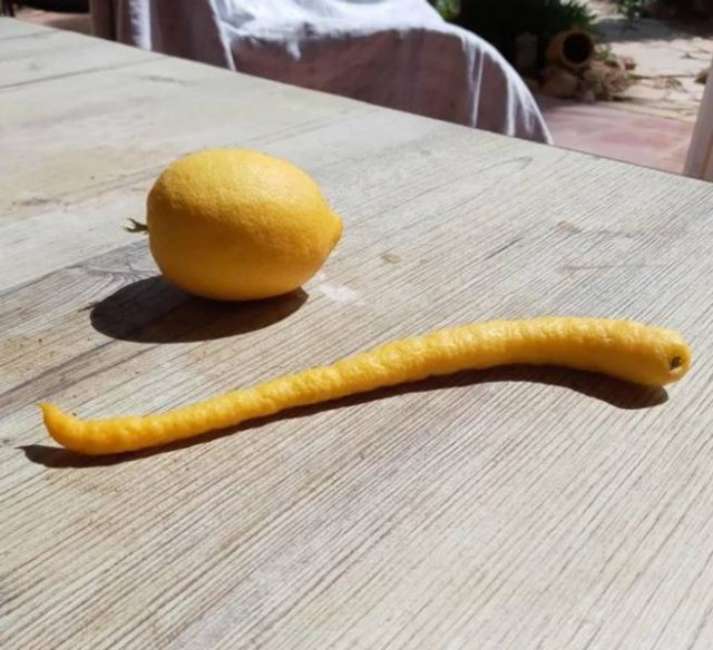 Awesome Things (20 pics)