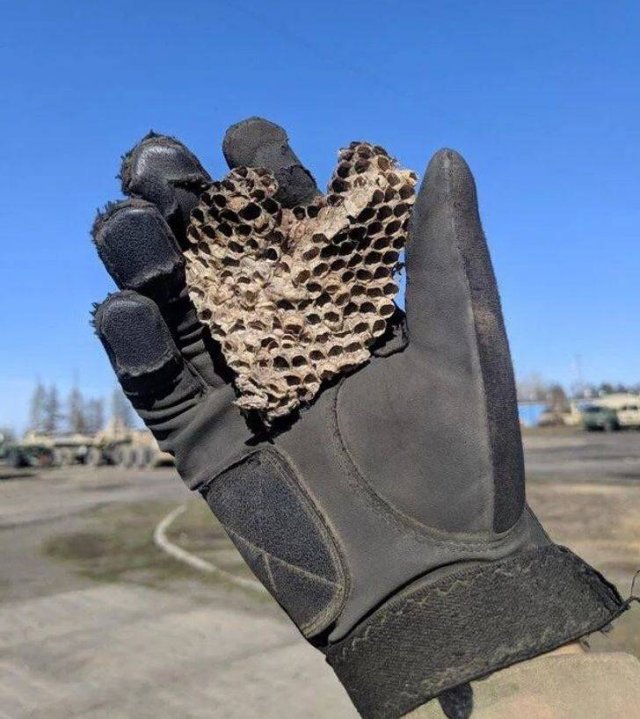 Awesome Things (20 pics)