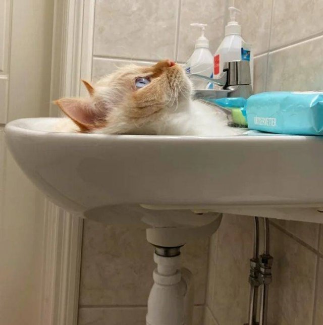 Awesome Things (20 pics)