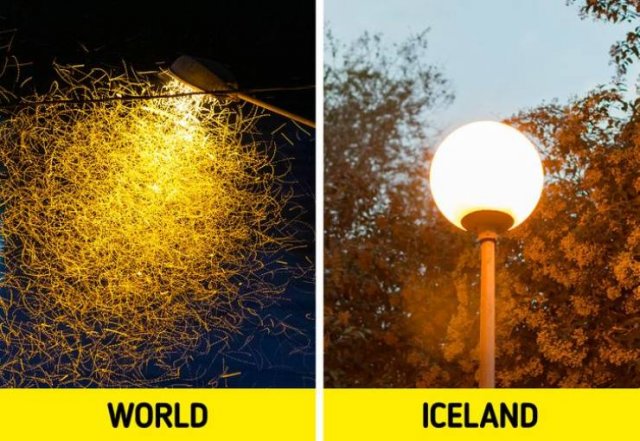 Life In Iceland (12 pics)