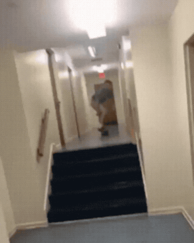 Wow GIFs (22 gifs)