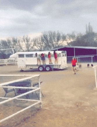 Wow GIFs (22 gifs)