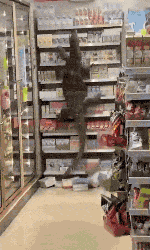 Wow GIFs (22 gifs)