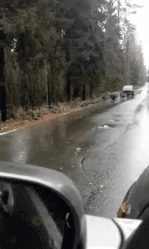 Wow GIFs (22 gifs)