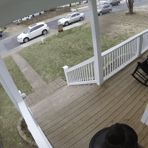 Wow GIFs (22 gifs)