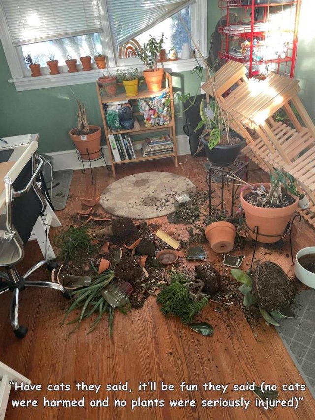 Bad Days Happen (40 pics)