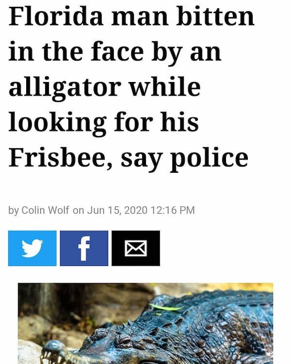 Insane Florida Headlines (28 pics)