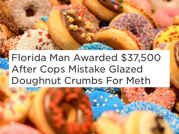 Insane Florida Headlines (28 pics)