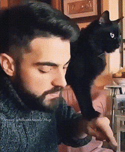 Acid Gifdump, May 4 (25 gifs)