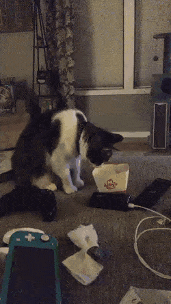 Acid Gifdump, May 4 (25 gifs)