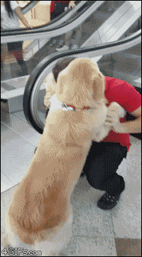 Acid Gifdump, May 4 (25 gifs)