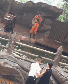 Acid Gifdump, May 4 (25 gifs)