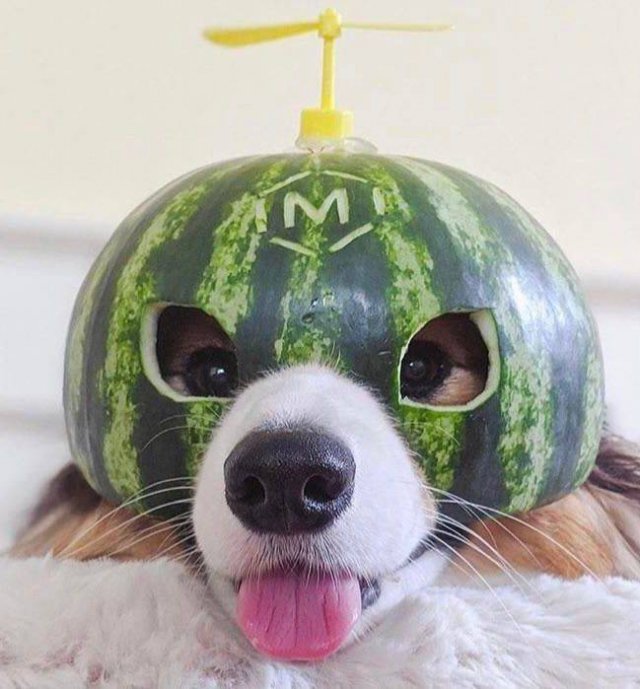 Acid Picdump 2 (84 pics)