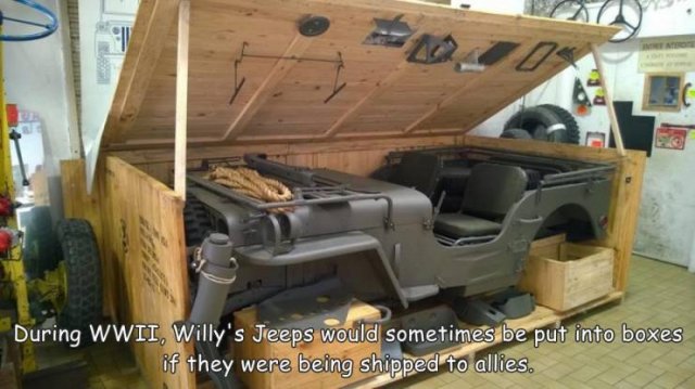 Acid Picdump 1 (47 pics)