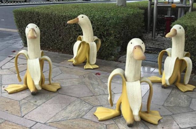 Acid Picdump 1 (47 pics)