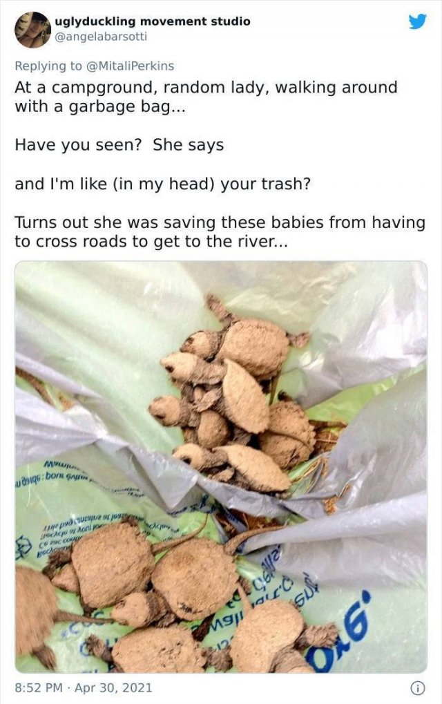 Unexpected Wholesomeness From Strangers (50 pics)