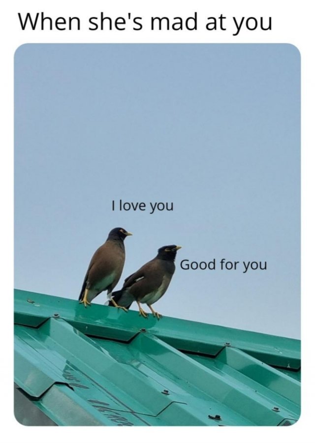 Relationship Memes (31 pics)