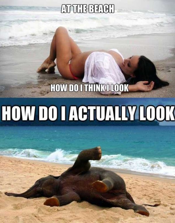 Beach Memes (31 pics)