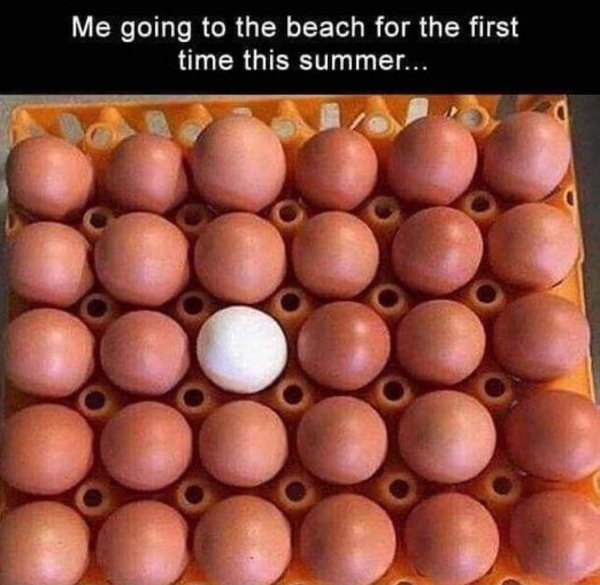 Beach Memes (31 pics)