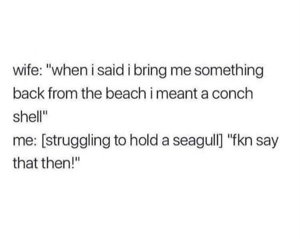 Beach Memes (31 pics)