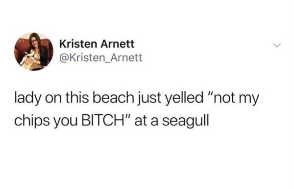 Beach Memes (31 pics)