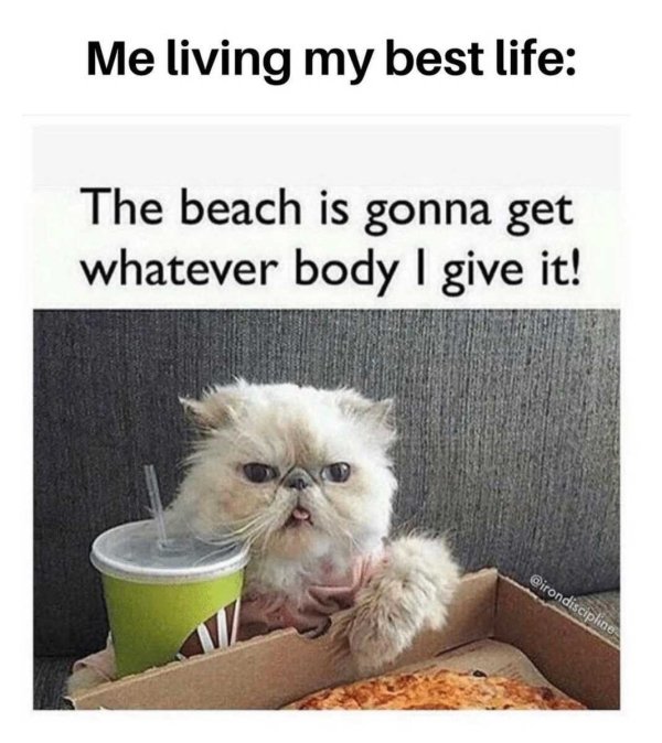 Beach Memes (31 pics)