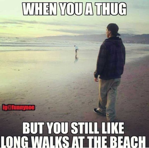 Beach Memes (31 pics)