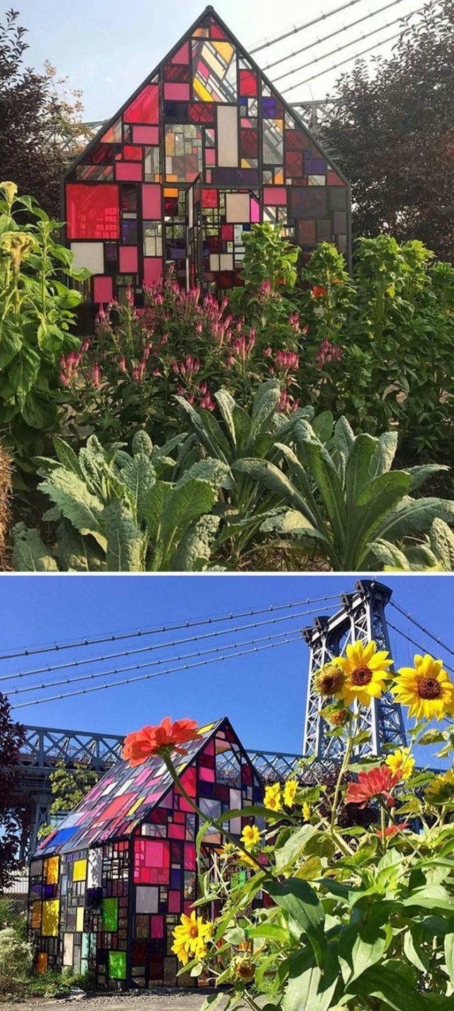People Show Off Their Gardens And Plants (48 pics)