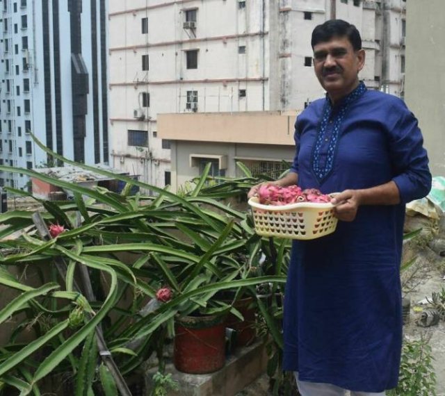 People Show Off Their Gardens And Plants (48 pics)