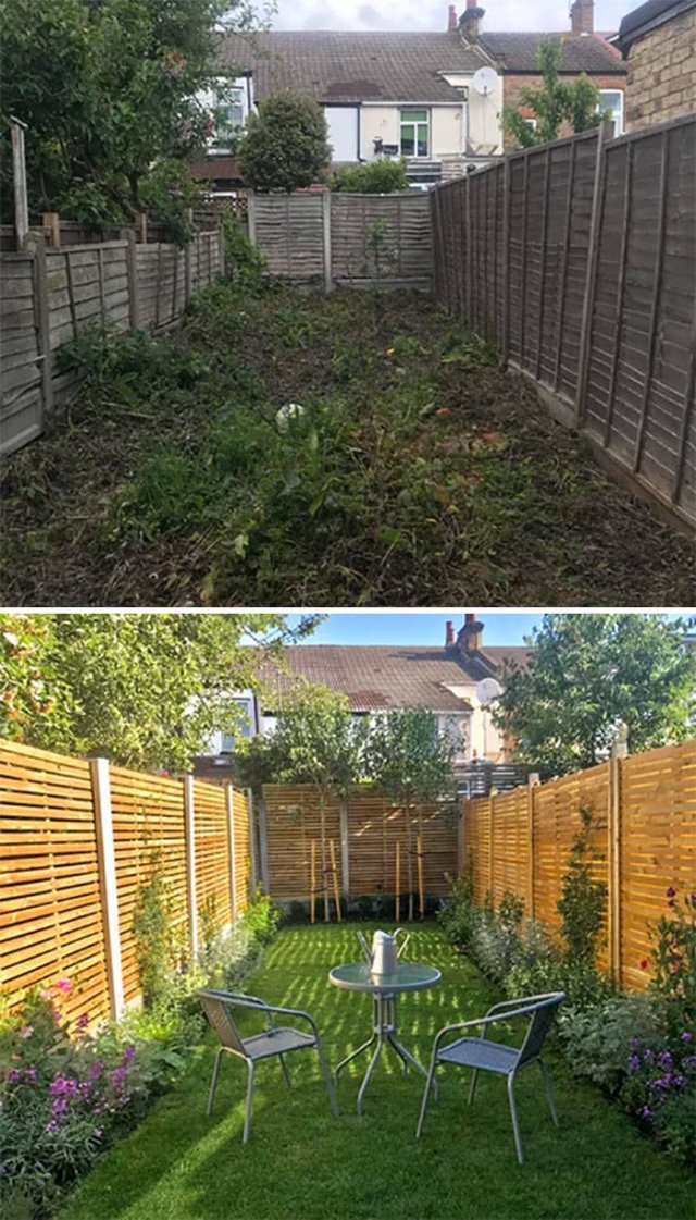 People Show Off Their Gardens And Plants (48 pics)