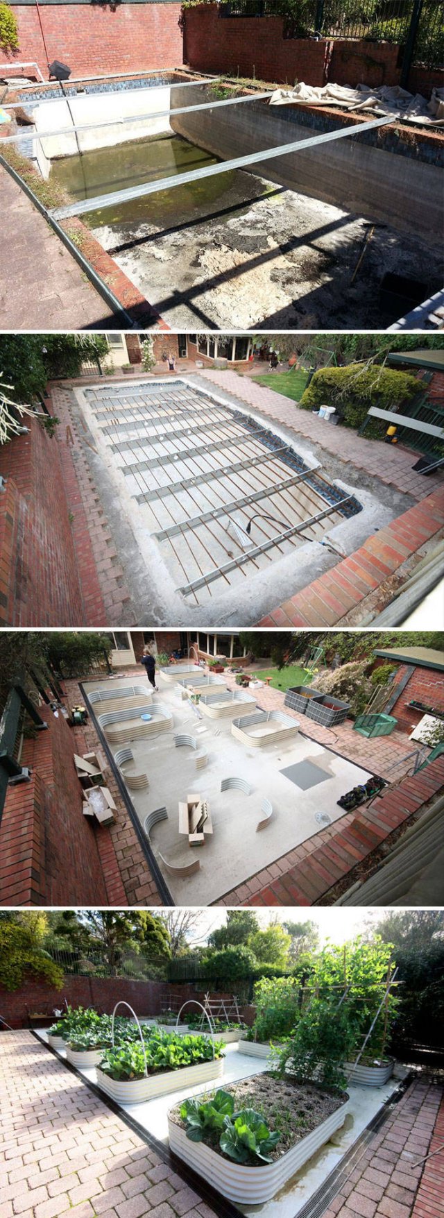 People Show Off Their Gardens And Plants (48 pics)