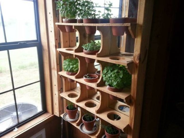 People Show Off Their Gardens And Plants (48 pics)