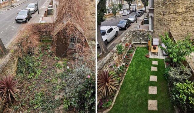 People Show Off Their Gardens And Plants (48 pics)