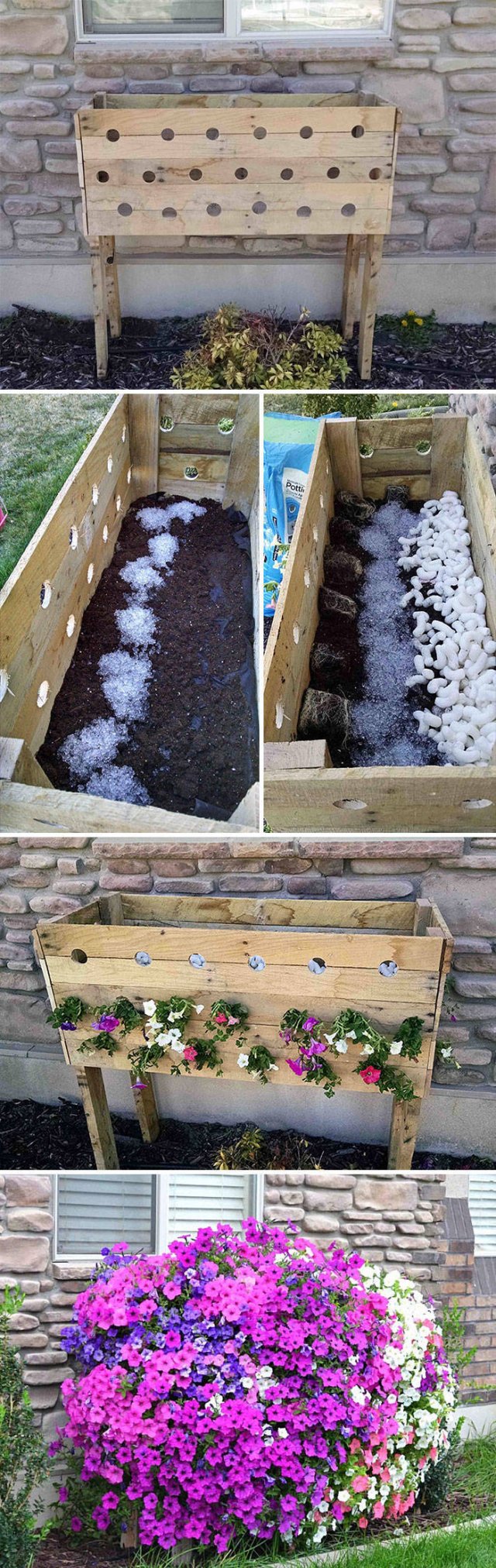 People Show Off Their Gardens And Plants (48 pics)