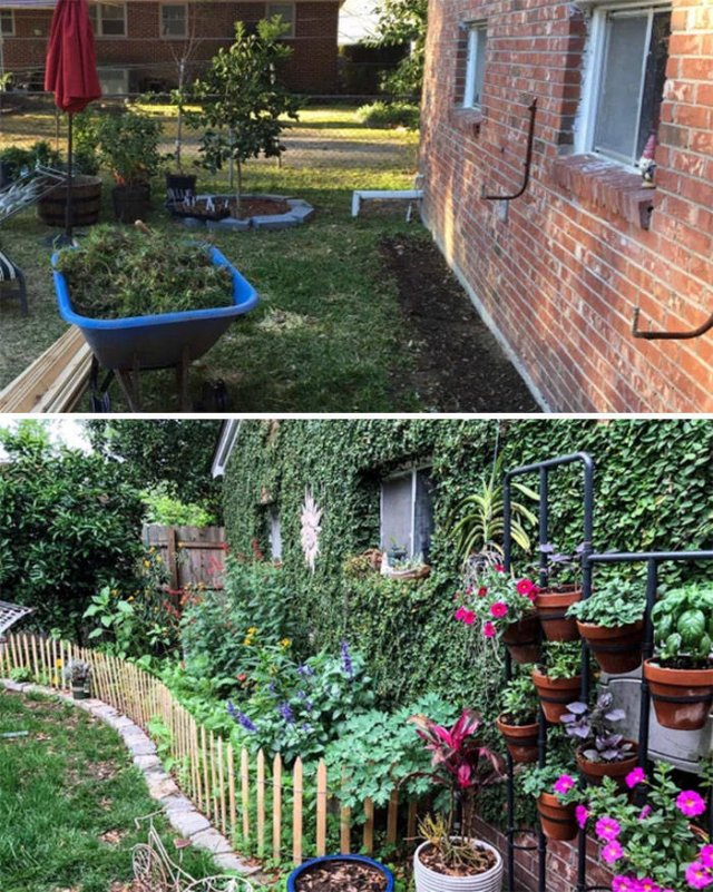 People Show Off Their Gardens And Plants (48 pics)