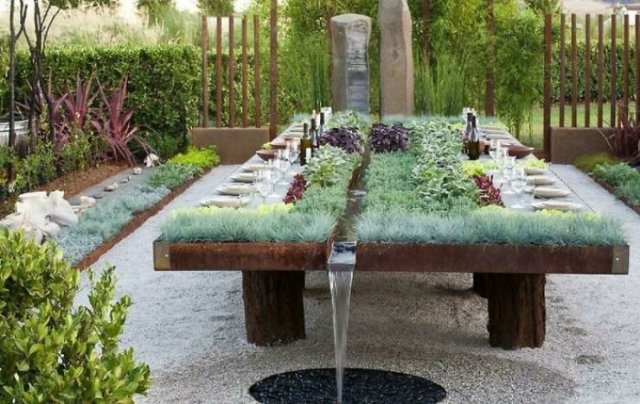 People Show Off Their Gardens And Plants (48 pics)