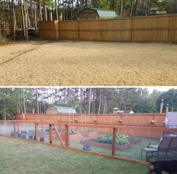People Show Off Their Gardens And Plants (48 pics)