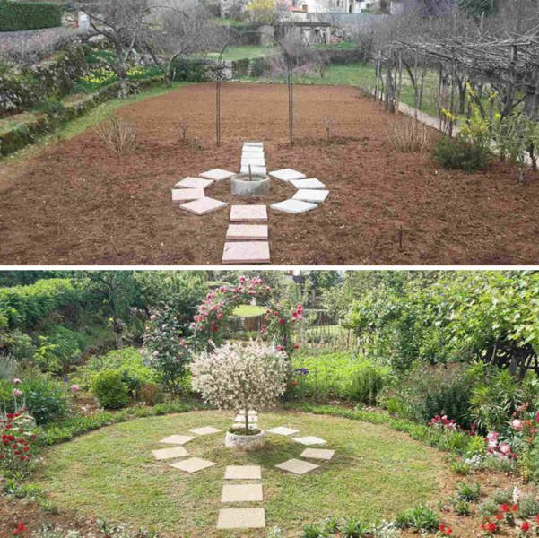 People Show Off Their Gardens And Plants (48 pics)