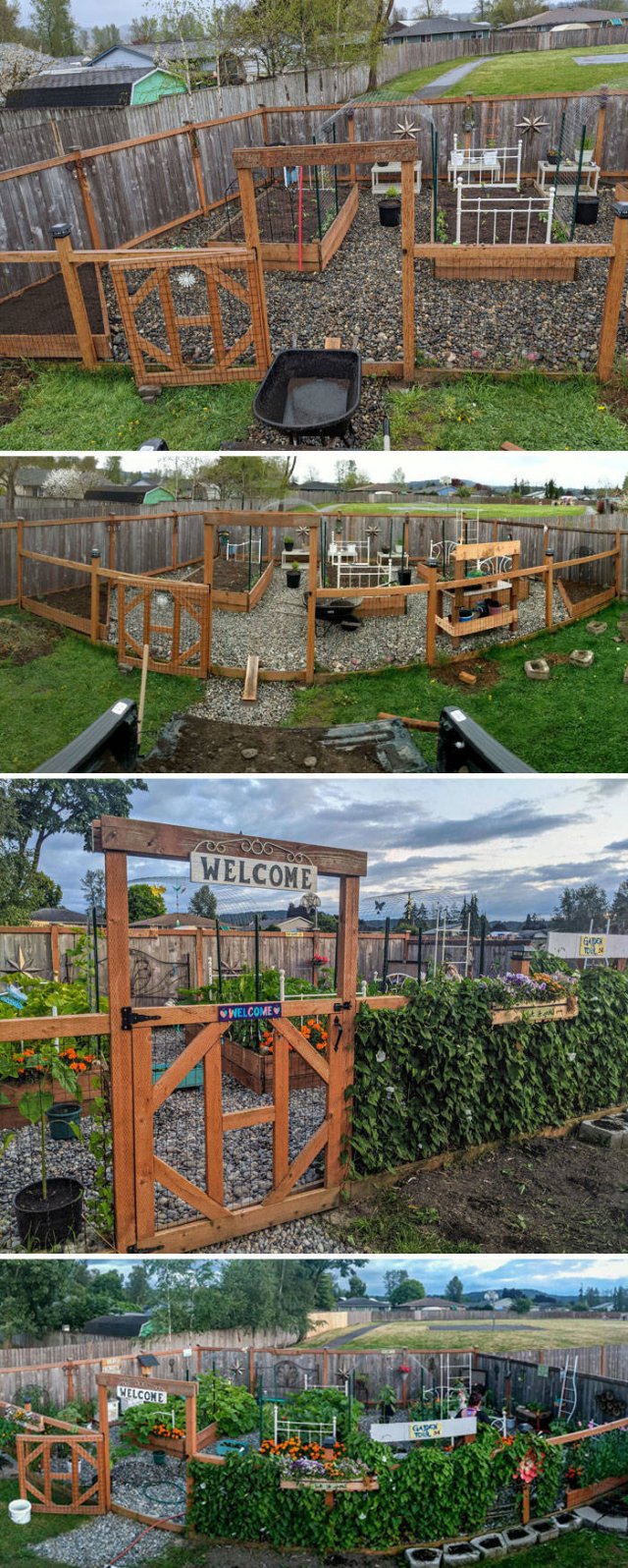 People Show Off Their Gardens And Plants (48 pics)