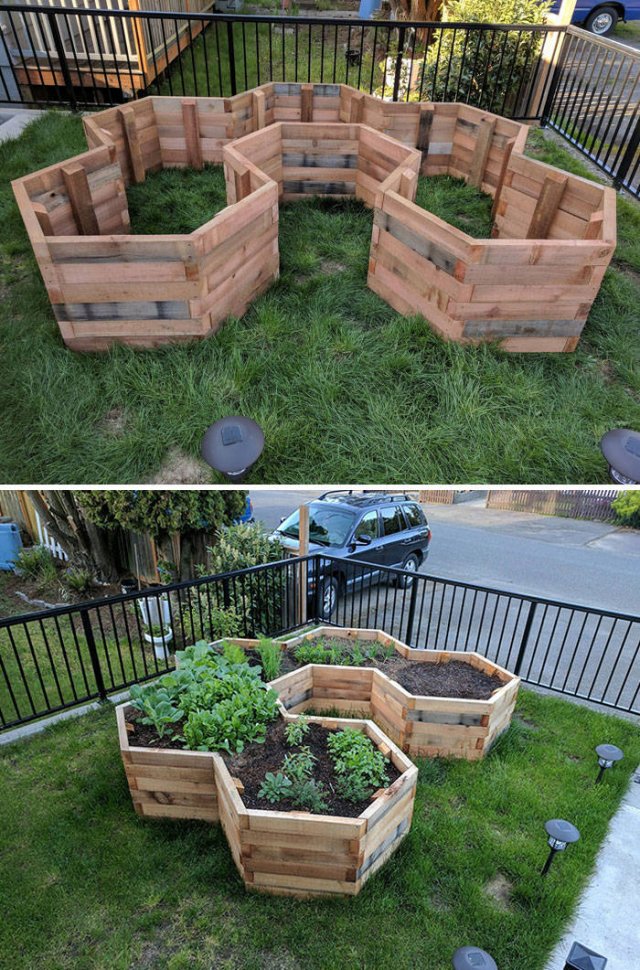 People Show Off Their Gardens And Plants (48 pics)