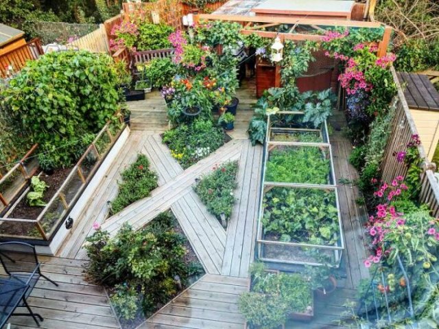 People Show Off Their Gardens And Plants (48 pics)