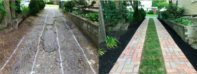 People Show Off Their Gardens And Plants (48 pics)