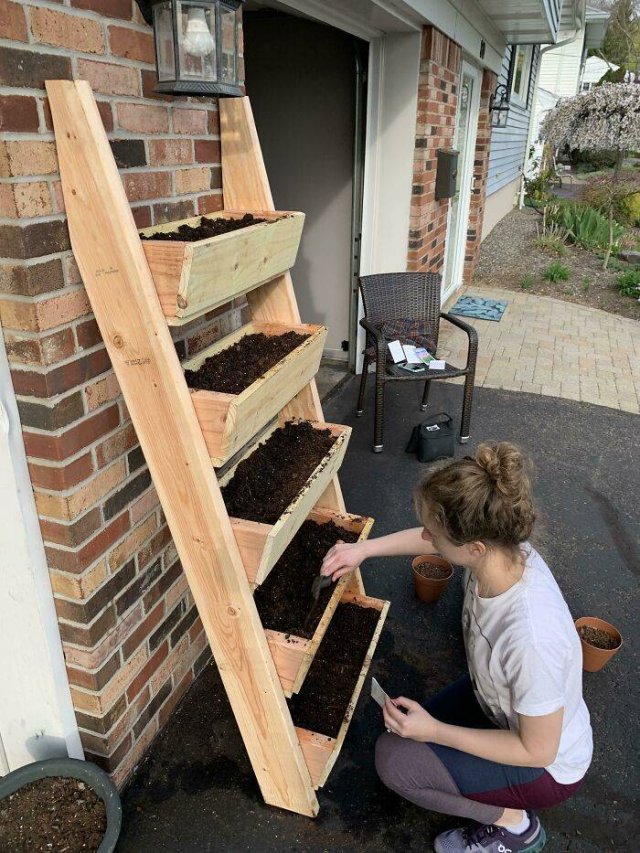 People Show Off Their Gardens And Plants (48 pics)
