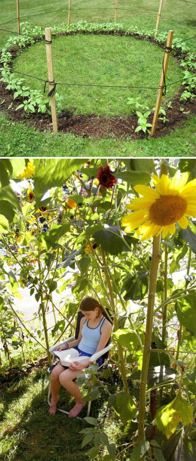 People Show Off Their Gardens And Plants (48 pics)
